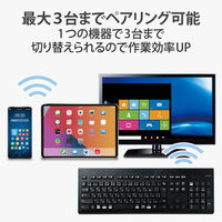 エレコム ワイヤレスキーボード 無線 Bluetooth 洗える IPX5 メンブレン 黒 TK-WS03BMKBK 1個（直送品）