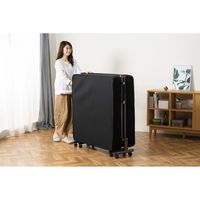 アイリスオーヤマ 折りたたみベッド OTB-PSN 1台（直送品）