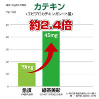 ツインバード お茶ひき器緑茶美採 GS-4671DG 1台