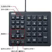 サンワサプライ 防水防塵テンキー NT-BS1BK 1個