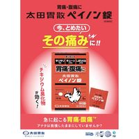 太田胃散ペイノン錠 太田胃散 胃痛 腹痛 さしこみ【第2類医薬品】