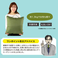 【防災】ドリーム　プロイデア　SONAENO クッション型多機能寝袋 グリーン 0070-4060 1個