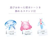 クツワ 透明標本せっけんをつくろう・生物 PT211B 1個