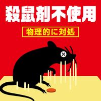 ネズミホイホイ チューバイチュー （折り目付き） 1セット（1個×2） アース製薬