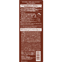 テンスター ヘナ カラートリートメント ウォームブラウン 250g 三宝