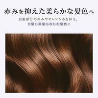 ビゲン 泡クリームカラー 5A ダークアッシュ hoyu（ホーユー）