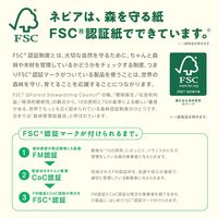 王子ネピア ネピアプレミアムソフトトイレットロール 日本の美ダブル桜 4901121273488 1個(12巻)