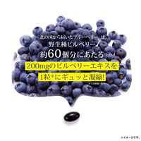 八幡物産 やわた 北の国から届いた ブルーベリー 1ヶ月分 30粒入 1袋(30粒入)（直送品）