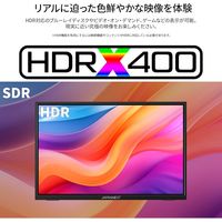 ジャパンネクスト  13インチ ワイド モバイルディスプレイ(2160x1350/IPS) JN-MD-IPS13U2KP（直送品）