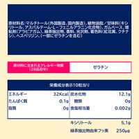 キシリトールガム+フッ素＜ペパーミント＞スリムボトル 1セット（1個×6） ロッテ