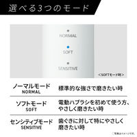 パナソニック 音波振動ハブラシ ドルツ EW-DM74-W 1台