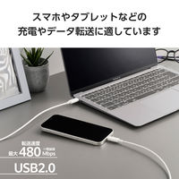 タイプCケーブル 2本セット （USB-C to C） 2m PD 60W 白 MPA-CCECTW20WH エレコム 1個