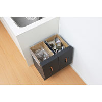 SANKA パッと組み立てフタ付きゴミ箱 40L 2台入 ブラック DBFG-40BK 1ケース(10セット入)（直送品）