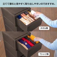 JEJアステージ　壁付デコニーシーヴォ5段　ダークブラウン　　1台