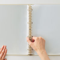 リヒトラブ Roomy クリヤーブック<ポケット交換式> A4 ピンク N290-12 1冊