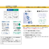 セーラー万年筆 ハイエースネオクリア カリグラフィー 1.0 12-0155-100 1本