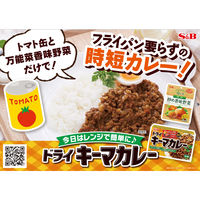 ドライキーマカレー 中辛 （2皿分×4袋） 1個 パウダールウ カレールウ エスビー食品 S＆B