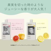 エコストア ディッシュウォッシュリキッド レモン 500mL 1個 食器用洗剤 エコストアジャパン