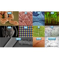 エーインサイト デジタルハンドヘルド顕微鏡カメラ AI-DMC01 1台（直送品）