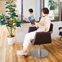 SEVEN BEAUTY (セブンビューティー) スタイリングチェア PLATZ ダークブラウン 37414 1台（直送品）