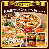 ニップン ナポリエッテ＜マカロニ+ベースソース＞ 260g 1セット（1個×2）オーマイ