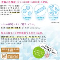 ミニアニマン 小動物用 ラビットグルメ 腸活生活 メンテナンス 国産 900g 3袋 ドギーマンハヤシ