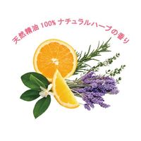 VIO CLEAN 105g 1セット（1個×2） ペリカン石鹸