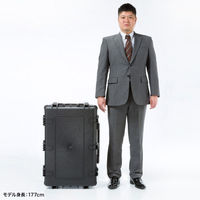 サンワサプライ  ハードツールケース（キャリータイプ） BAG-HD6（直送品）