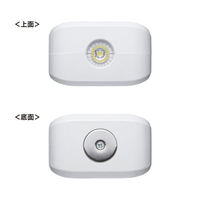 サンワサプライ 充電式LED人感明暗センサーライト LED-SL1 1個