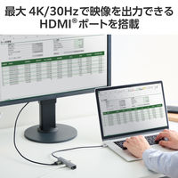 ドッキングステーション タイプC ハブ 4in1 HDMI LAN USB-A USBハブ DST-C29SV エレコム 1個（直送品）