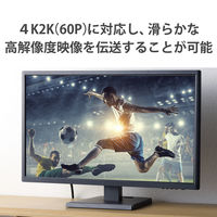 HDMIケーブル Premium 4K2K(60P)対応 1.0m ブラック ECDH-HDP10SBK エレコム 1個