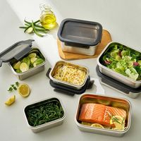 LIV PLUS 保存容器 ステンレス 長方形 2L 電子レンジ対応 シルバー LST516 1個