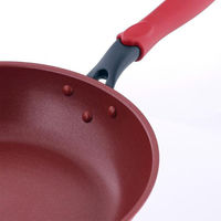 ベストコ フライパン 26cm IH対応 レッド デリシャスサインエボルト NM-102 1個