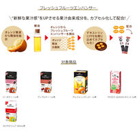 AGF プロフェッショナル ピーチティー 1L用 インスタント 冷水可 1セット（1箱（10本入）×3）