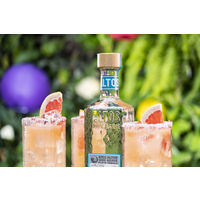 オルメカ アルトス プラタ プレミアムテキーラ 38度 700ml 1本 100％アガベ バーテンダー用 カクテル ペルノ・リカール