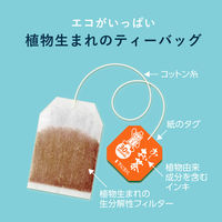 伊藤園 おーいお茶 エコティーバッグ ほうじ茶 1セット（1箱（50バッグ入）×3）