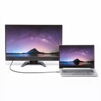 サンワサプライ USB40Gbps（USB4 Gen3）Type-C ケーブル KU-40GCCPE10 1本