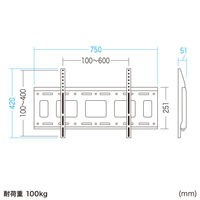 サンワサプライ 壁面固定式ディスプレイ金具 86型まで対応 幅750×奥行51×高さ420mm ブラック CR-PLKG19BK 1台（直送品）