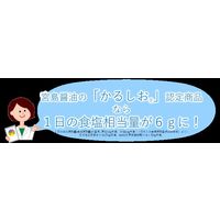 減塩 ビーフカレー 中辛 1人前・180g 1セット（1個×3）宮島醤油 レトルト