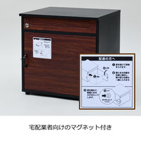 山善 YAMAZEN 宅配ボックス 2枚扉 TPB-2（M） （上段:ポスト投函サービス対応 下段:宅配商品投入可能） 1台