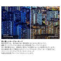 フィリップス 21.5インチ液晶モニター 221S9A/11 1台（わけあり品）