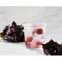 HiNODE 赤しそサワーの素 20度 500ml 1本 赤しそ 赤紫蘇 バイスサワー 国産素材 熊本県産 約10杯分