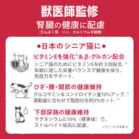 ラシーネ 日本猫 11歳以上用 国産 560g（140g×4袋）1袋 日本ペットフード キャットフード