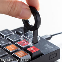 サンワサプライ プログラマブルテンキー(有線モデル) NT-26UBK 1個（直送品）