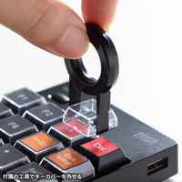 サンワサプライ プログラマブルテンキー（Bluetoothモデル） NT-BT26BK 1個（直送品）