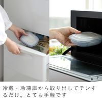 &NE 冷凍ご飯もふっくら解凍 Refura（レフラ）保存容器 3色セット 1個 電子レンジ可 エヌ・エレファント