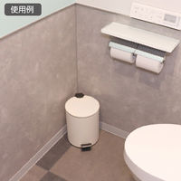 テラモト ペダルボックス(静音タイプ) ホワイト 5L DS2387058 1個