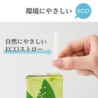 【紙パック】【アスクル・ロハコ限定】伊藤園 香り豊かなお茶 250ml 1セット（144本） 緑茶 オリジナル