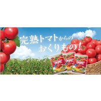 ハウス食品 完熟トマトのミートソース 3袋入 1セット（1個×2）レンジ対応 パスタソース