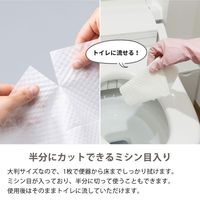 大王製紙 トイレのおそうじシート ミントの香り 1セット（12枚入×3個） 【そのまま使えるファスナー付き】（寄付金付き） オリジナル